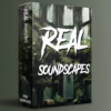 Real Soundscapes