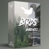 A serene landscape showcasing birds in their natural habitat with sounds of bird ambiences and field recordings.