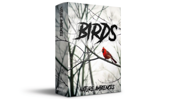 Birds in a forest setting recorded for nature ambience and soundscape use