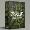 Forest nature ambience sound recordings for sleep, relaxation, and professional media projects
