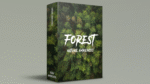 Forest – Nature Ambiences | Field Recordings for Relaxation, Focus, and Media Production