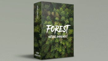 Forest nature ambience sound recordings for sleep, relaxation, and professional media projects