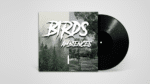 Bird Ambience Field Recording 1