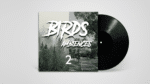 Bird Ambience Field Recording 2