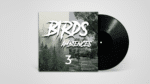 – Bird Ambience Field Recording 3