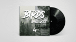 Bird Ambience Field Recording 4