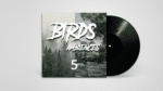 Bird Ambience Field Recording 5