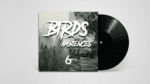 Bird Ambience Field Recording 6