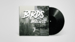 Bird Ambience Field Recording 7