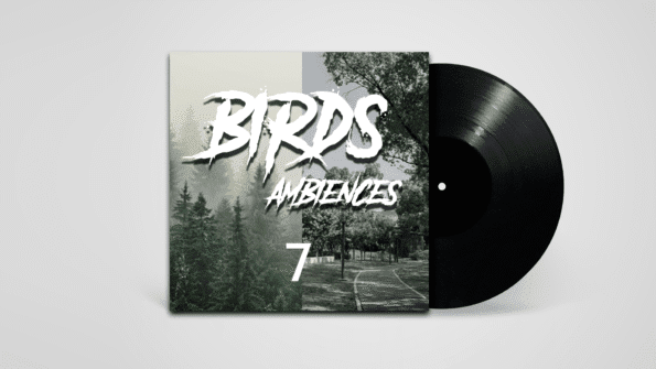 Stereo field recording of birds in natural environment – part of Birds in Various Ambiences library
