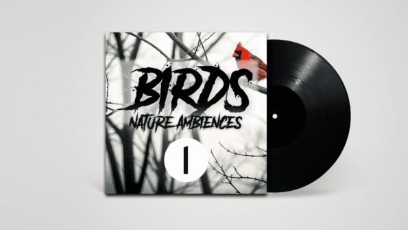 Stereo recording of birds chirping in natural spring environment