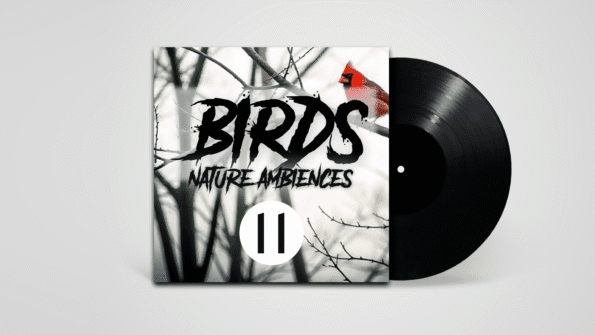 Stereo recording of birds chirping in natural spring environment