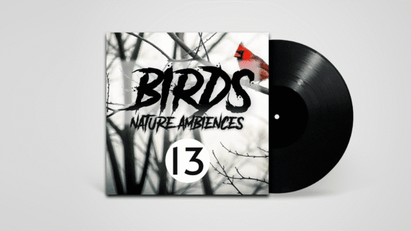 Stereo recording of birds chirping in natural spring environment
