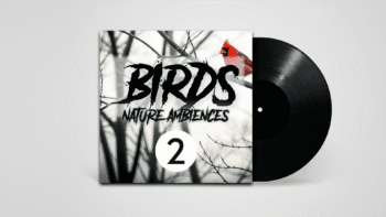 Stereo recording of birds chirping in natural spring environment