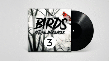 Stereo recording of birds chirping in natural spring environment