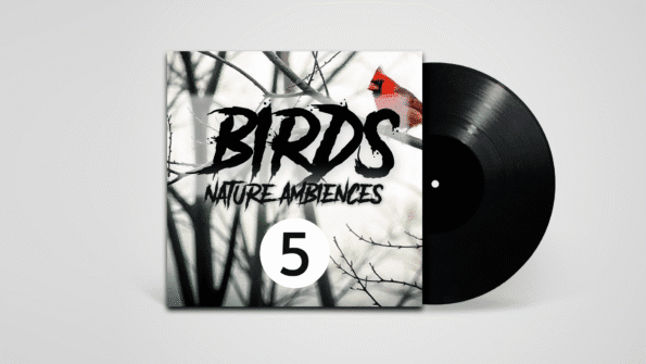 Stereo recording of birds chirping in natural spring environment