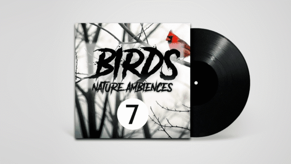 Stereo recording of birds chirping in natural spring environment