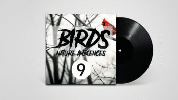 Stereo recording of birds chirping in natural spring environment