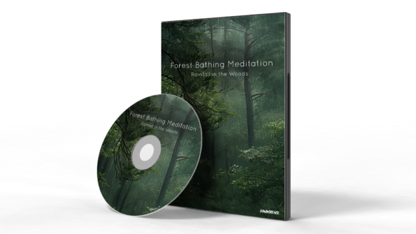 Whether you're practicing mindfulness, creating a peaceful space at home, or searching for a natural white noise background to block distractions, this ambient forest rain sound is a powerful tool for inner stillness and focus.