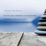 Pacific Ocean Waves Soundscape for Meditation and Sleep