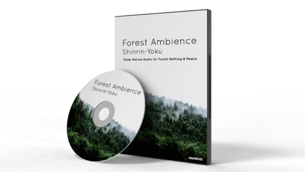 Deep forest ambience with crickets, owls, and peaceful nature sounds