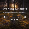 Peaceful night ambience with the gentle sound of crickets under the stars – perfect for sleep, meditation, or relaxing content.