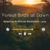 Peaceful morning forest ambience with gentle bird calls – perfect for meditation, relaxation, and spiritual practice.