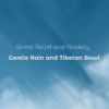 Meditation music for stress relief and anxiety – gentle rain with Tibetan singing bowl, 10-minute calming soundscape
