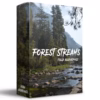 Crystal-clear forest stream flowing through a deep woodland, representing authentic 96 kHz 24-bit unprocessed field recordings.